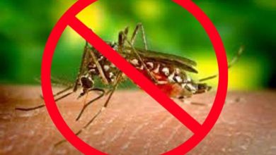 Photo of थोड़ी से सावधानी और मच्छरदानी के नियमित इस्तेमाल से डेंगू के संक्रमण से रहें दूर : सिविल सर्जन