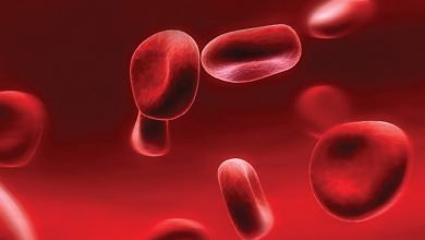 Photo of थैलेसीमिया को जागरूकता से दी जा सकती है मात