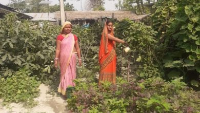 Photo of पोषण बगीचा में ग्रामीणों को कोरोना से बचाव की मिल रही जानकारी