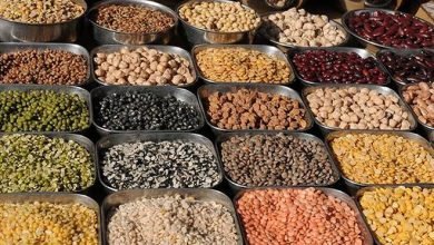 Photo of बरसात के मौसम में घेरलु उपाय कर खुद का करें बचाव