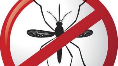 Photo of डेंगू से बचाव को लेकर सामुदायिक स्तर पर लोगों को किया जाएगा जागरूक