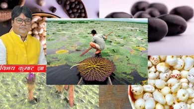 Photo of मिथिला के नाम ही हो मखाना का जीआई टैग: विभय कुमार झा 