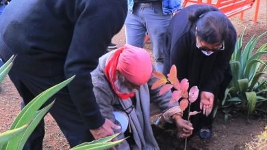 Photo of *पद्मभूषण अनिल जोशी जी ने किया  ऋषिकेश में ‘स्मृति वृक्ष’  कैंपेन का उद्घाटन*