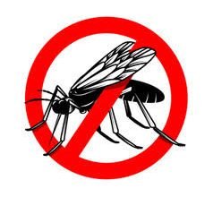 Photo of “डेंगू इज प्रिवेंटिएबल : लेट्स जॉइन हैंड्स ” की थीम पर 16 मई को जिला भर में मनाया जाएगा राष्ट्रीय डेंगू दिवस