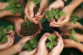 Photo of विश्व पर्यावरण दिवस  पर जिला के सभी स्वास्थ्य संस्थानों के खाली जगह पर लगाए जाएंगे औषधीय पौधे 