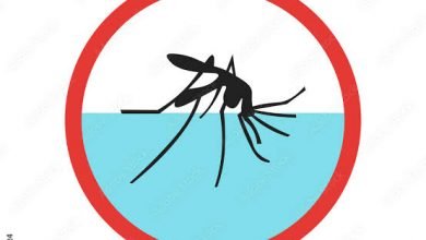 Photo of मलेरिया से बचने के लिए मच्छर से करते रहें अपना बचाव