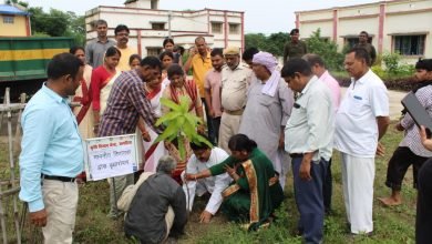 Photo of पोषण माह • कुपोषण से बचाव को पौष्टिक और संतुलित आहार का सेवन करना चाहिए