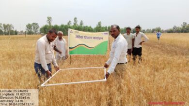 Photo of कृषि में क्रांतिकारी बदलाव-  प्रयागराज जिले में जैविक खेती परियोजना का उद्देश्य जलवायु-अनुकूल जैविक तकनीक को बढ़ावा देना है