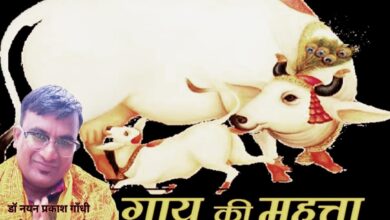 Photo of गौ माता का सामाजिक धार्मिक महत्व सर्वोपरि, मानवीय प्रगति का सूचक